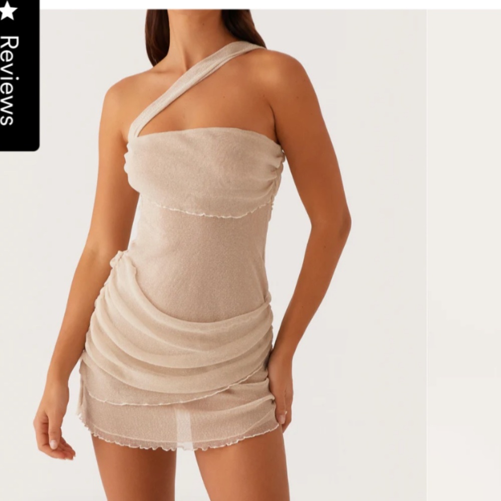Ivory Mesh Dress/Cover up (NEW--TAGS ON)